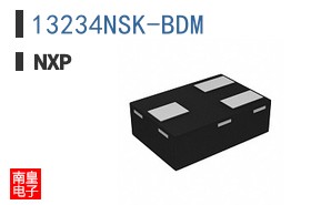 13234NSK-BDM