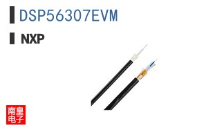 DSP56307EVM