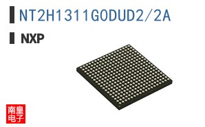 NT2H1311G0DUD2/2A