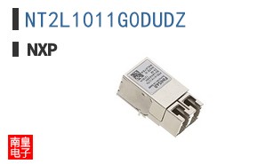 NT2L1011G0DUDZ