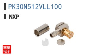 PK30N512VLL100
