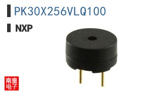PK30X256VLQ100