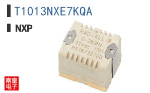 T1013NXE7KQA
